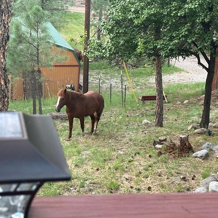 Gonzales Cozy Little Bear Cabin Ruidoso Exterior photo